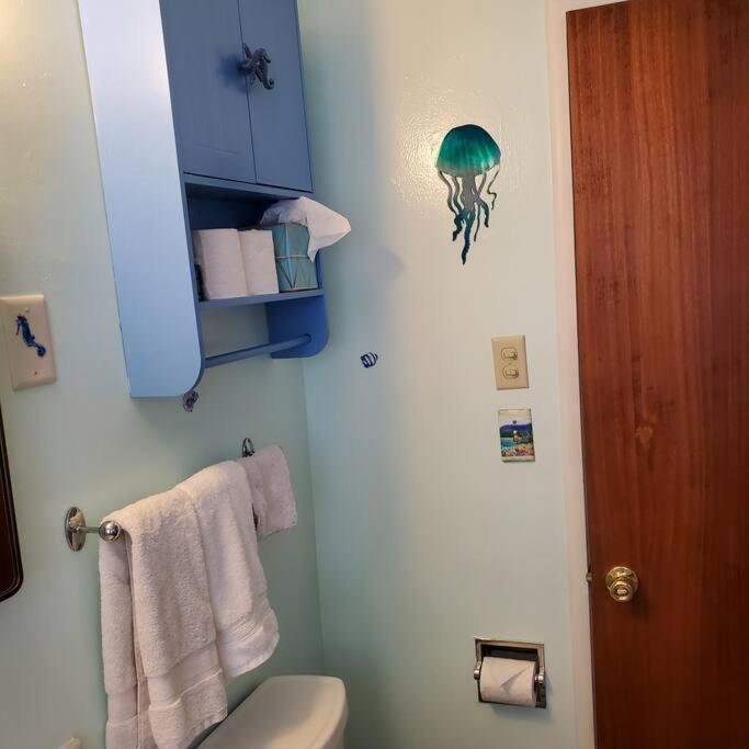 Sweet 2 Bedroom Close To U Of Oregon & Track! ユージーン エクステリア 写真